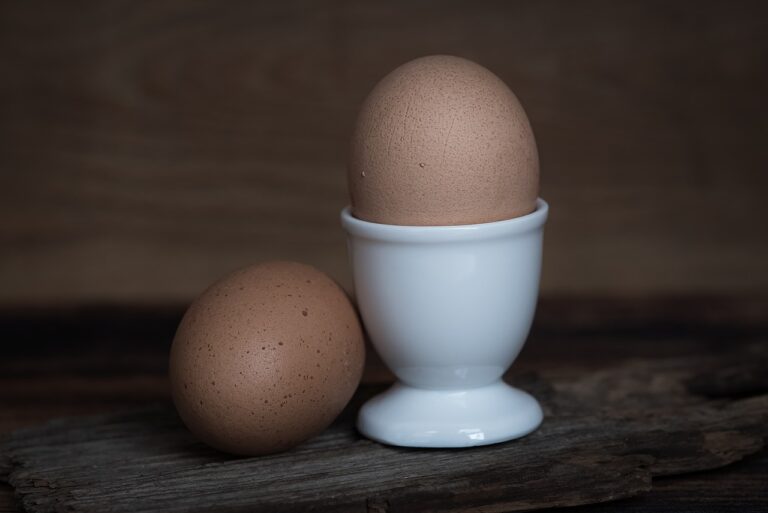 מהו הגודל הגדול ביותר של ביצים?